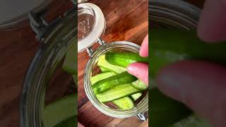 CORNICHONS HEALTHY fermentedfoods foodrecette healthy diyhomemade youtubeshorts recipe [upl. by Gibbon772]