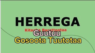 Herregaa kutaa 7 Gosoota Tuutotaa [upl. by Segroeg]