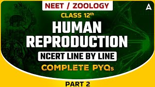 HUMAN REPRODUCTION CLASS 12  NEET 2024  NCERT LINE BY LINE WITH COMPLETE PYQs  ZOOLOGY BY SANKALP [upl. by Marcos]