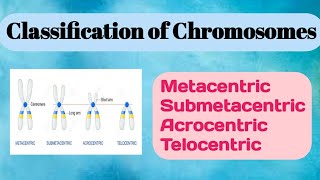 Classification of Chromosomes conceptualgeneticsandbreeding [upl. by Dahlstrom]