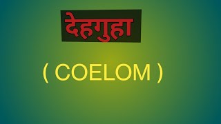 Coelom  देहगुहा Bodycavity [upl. by Haikezeh]