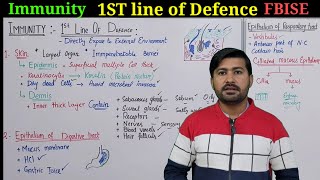 First line of defense immune system  Immunity Class 11 Fbise  Innate immunity [upl. by Otineb]