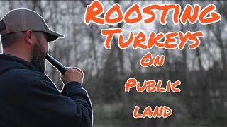 Roosting TURKEYS on PUBLIC Land [upl. by Onitnevuj964]