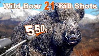 Wild Boar Hunting Shots Compilation  Compilation de tir au Sanglier 2023 [upl. by Beauregard]