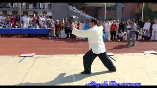 Yang Shi Taijiquan 85 Shi back  Master Zhao Youbin 赵幼斌 [upl. by Namia]