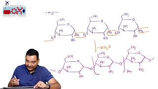 Lecture15 Structure of starch  Structure of amylose amp amylopectin [upl. by Odnalra]