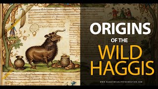 Why the Wild Haggis is More Than a Myth [upl. by Zanas]