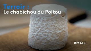 Terroir  le chabichou du Poitou [upl. by Patrich977]