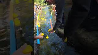 2024 Valle Crucis Duck Race View from the finish line [upl. by Ahsaei]