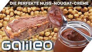 Nuss nussiger selbstgemacht So geht die perfekte NussNougatCreme  Galileo  ProSieben [upl. by Hedvig]