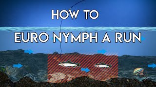 Euro Nymphing a Run  How To [upl. by Gottuard405]