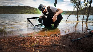 Comment pêcher le brochet ULTRA SIMPLEMENT [upl. by Yelsew37]