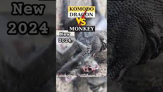 quotBig Komodos Terrifying Mealquot 🐒 vs🦎 animals wildlife shorts [upl. by Icyaj]