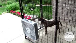 Keep your pets cool this summer with a K9 cooling fan on their kennel [upl. by Reivax585]