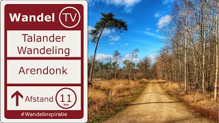 Talanderwandeling Arendonk  Natuurgebied Hoge Vijvers  Wandel TV [upl. by Beora579]