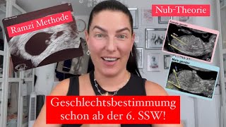 Ab 6 SSW FRÜHE Geschlechtsbestimmung Nub Theorie  Ramzi amp HCG Methode Bei mir stimmte es in 3 SS [upl. by Drucy339]