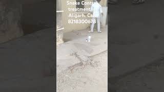 snake Control treatment in Aligarh call 8218300678 [upl. by Nnylarak464]