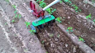 Easy Make Inter cultivator for vegetable and weed control [upl. by Naujek306]