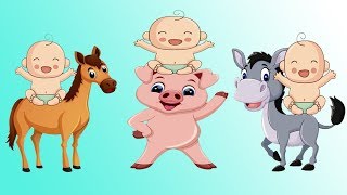 tiere für kleinkinder lied  haustiere für kinder ab 12  BeBi TV [upl. by Aryajay]