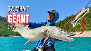 Pêche du BROCHET en GRAND lac  LESTEZ vos swimbaits [upl. by Ytirahs]