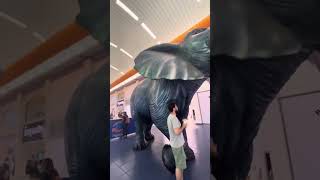 COME WITH US to Albrook Mall in Panama City Panama 🇵🇦 Asmr [upl. by Fleurette670]