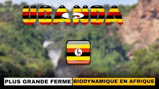 Ouganda Découvrez l’une des plus grandes fermes biodynamiques d’Afrique [upl. by Elwaine]