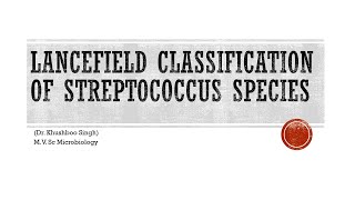 Lancefield classification of streptococcus species [upl. by Yttig]