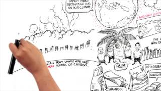 Protect Paradise An Animation about Palm Oil [upl. by Nivlad]