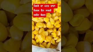 Pagro matter dana mix veg sabji [upl. by Enuahs]