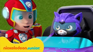 PAW Patrol  La Pat Patrouille  Les Super Chats et la Mini Patrouille   Nickelodeon Jr France [upl. by Ethelbert]