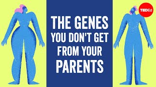 The genes you dont get from your parents but cant live without  Devin Shuman [upl. by Korns]