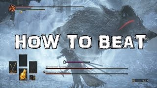 Dark Souls 3 Ashes of Ariandel DLC  How to Beat The Champions Gravetender BOSS [upl. by Sears]