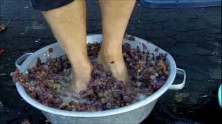 Making Grape Juice [upl. by Akinal]