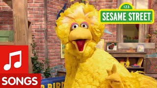 Sesame Street Big Bird Sings Happy to Be Me Song [upl. by Reiser9]