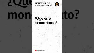 ¿Qué es el monotributo [upl. by Chaing705]