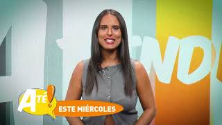 PROMO casa conchas  Atiende que calor Telfy TV [upl. by Dare]