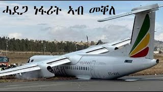 Mestyat Betna  á“á‹°áŚ‹ áŠáŤ‹áŞá‰µ áŠŁá‰Ą áá‰á [upl. by Yadsendew]