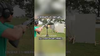 BIRDSHOT VS DRYWALL birdshot shotgun homedefense training test shorts short shortsvideo [upl. by Haem330]