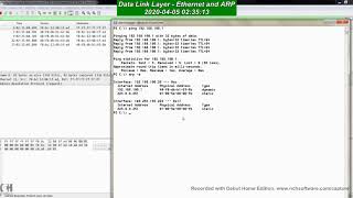 Data Link Layer Wireshark Analysis [upl. by Namara62]