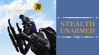 OP Stealth Unarmed Build SBQ SOLO in 4 HITS  Fallout 76 Wastelanders [upl. by Ahsikahs]