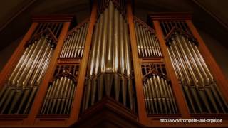 Trompete und Orgel  Händel We praise thee O God aus dem Dettinger Te Deum [upl. by Gauntlett200]