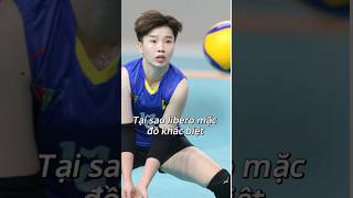 Libero có gì đặc biệt  trending yeuthethao sports chientranh bongchuyen libero [upl. by Aksehcnarf]