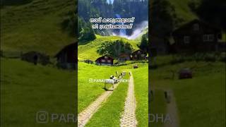 PARALOGA CHINDHA 🤲quran islamichadees youtubeshorts youtube explore motivation viralvideo [upl. by Sairacaz125]