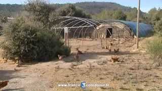 Des voleurs de poules dans le Haut Var [upl. by Lucania]