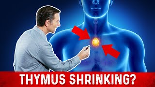 Why Does Our Thymus Shrink to Nothing As We Age [upl. by Adnil]