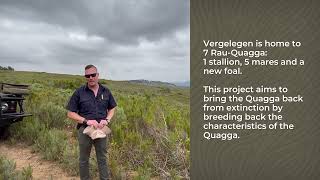 WWF Conservation Champions Vergelegens RuaQuagga Project [upl. by Kerns]