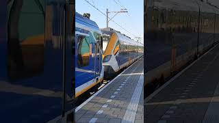 Bijzonder SNG komt aan op station Hillegom als sprinter richting Leiden Centraal [upl. by Harras321]