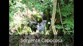 Sorgente del fiume Cosa  Caporelle  08092013 [upl. by Fulks688]