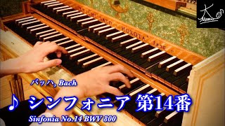 【チェンバロ】18世紀フランス様式の二段鍵盤で演奏（バッハ：シンフォニア 第14番／Bach Sinfonia No14 BWV 800）【倉敷市芸文館】 [upl. by Eidde587]