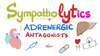 Sympatholytics Adrenergic Antagonists — Alpha blockers Beta blockers Calcium channel blockers [upl. by Ameg370]